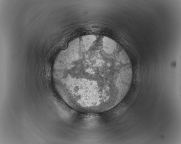 X0000115410274200911171407