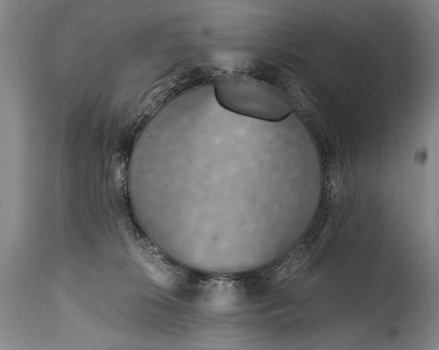 X0000115410276200911171407