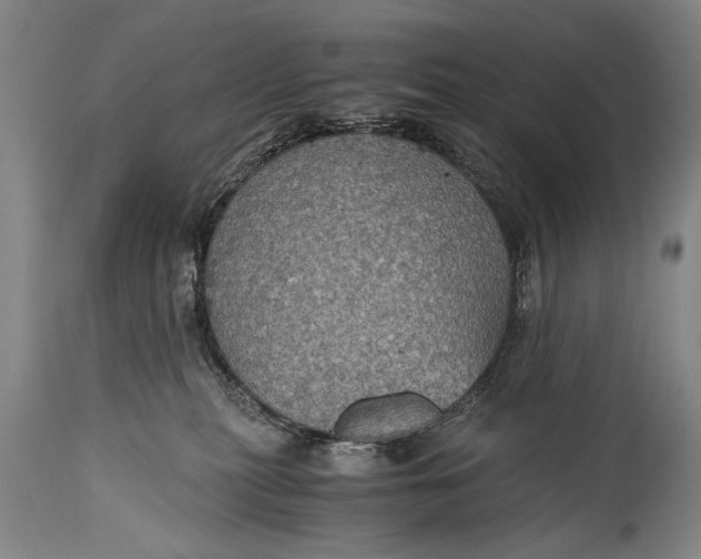 X0000115410279200911171407
