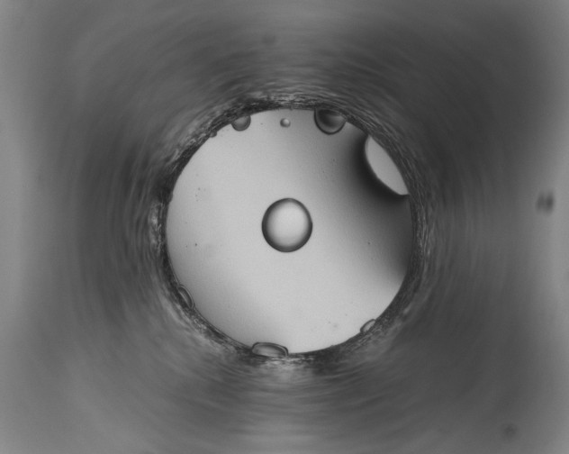 X0000115410280200911171407