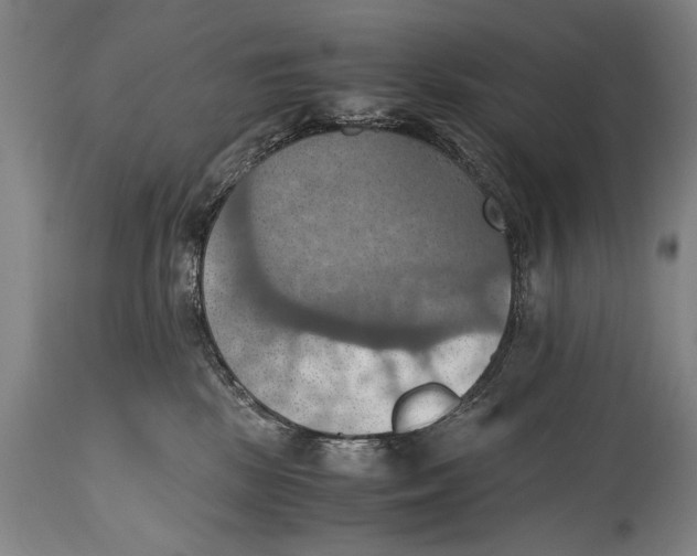 X0000115410281200911171407