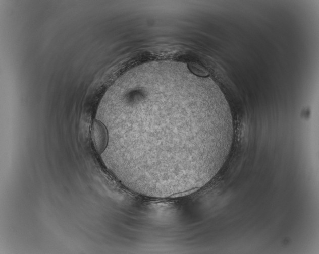 X0000115410283200911171407