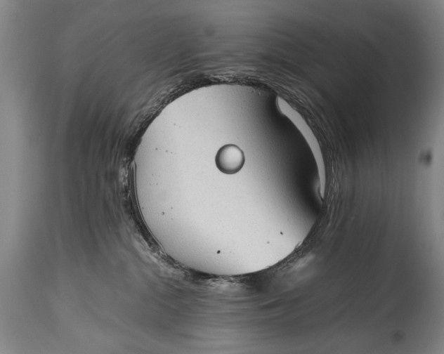 X0000115410284200911171407