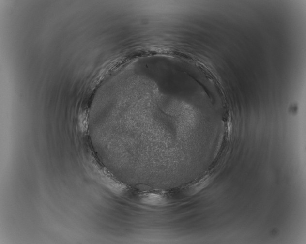 X0000115410285200911171407