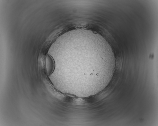X0000115410287200911171407
