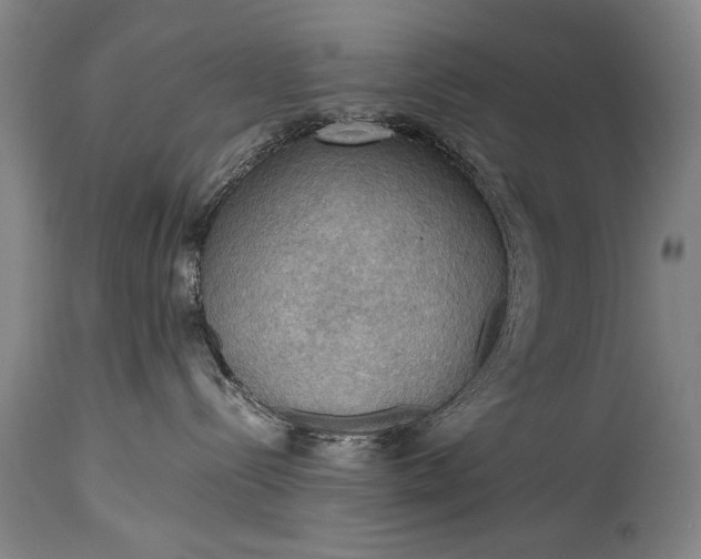 X0000115410288200911171407