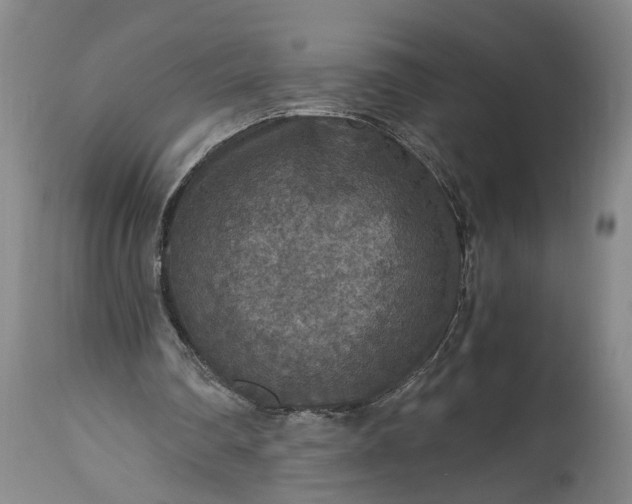X0000115410290200911171406