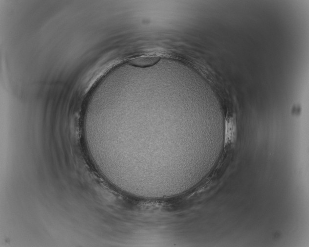 X0000115410291200911171406
