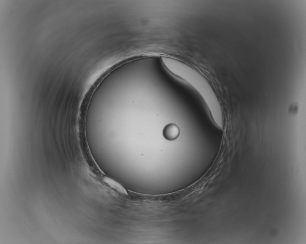 X0000115410292200911171406