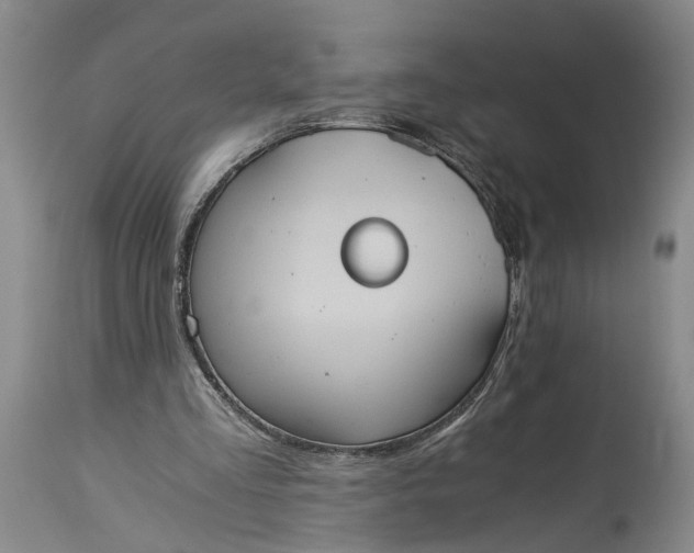 X0000115410293200911171406