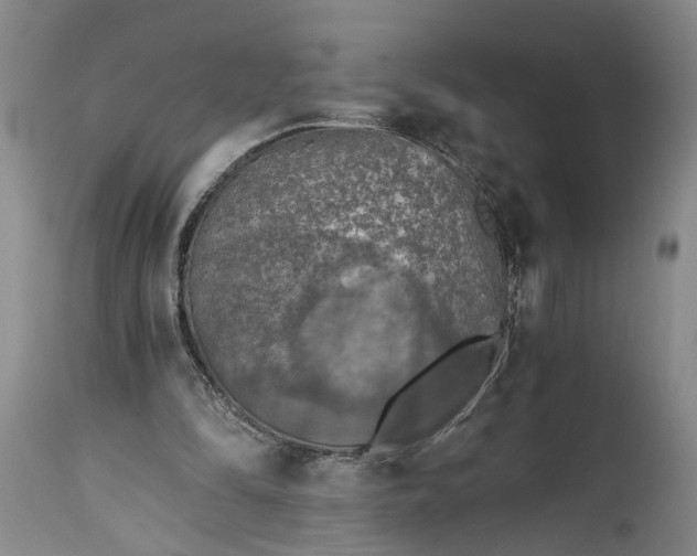 X0000115410294200911171406