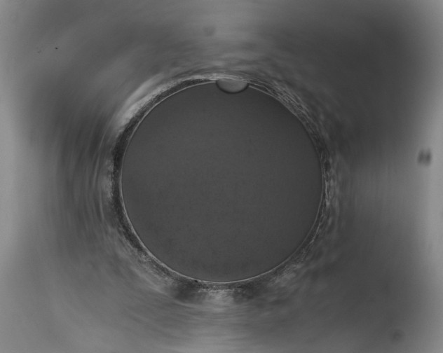 X0000115410295200911171406