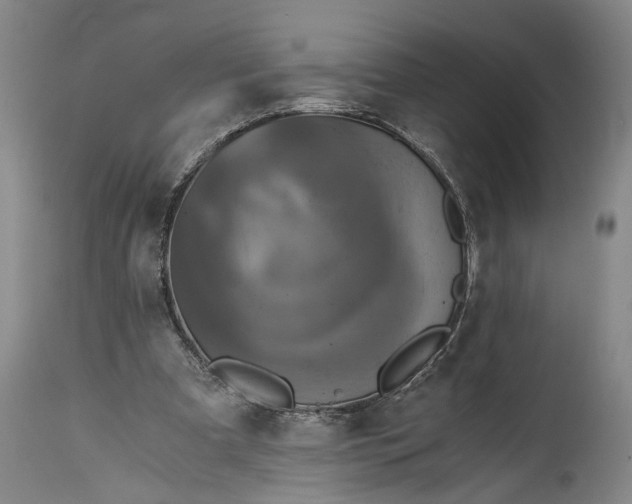 X0000115410297200911171406