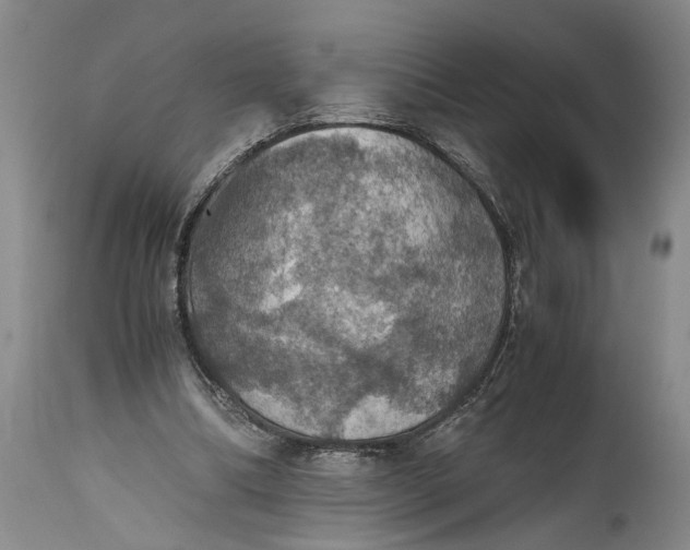 X0000115410298200911171406