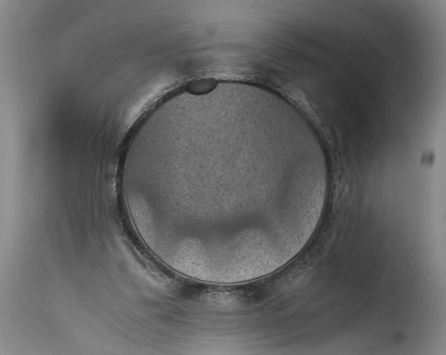 X0000115410299200911171406