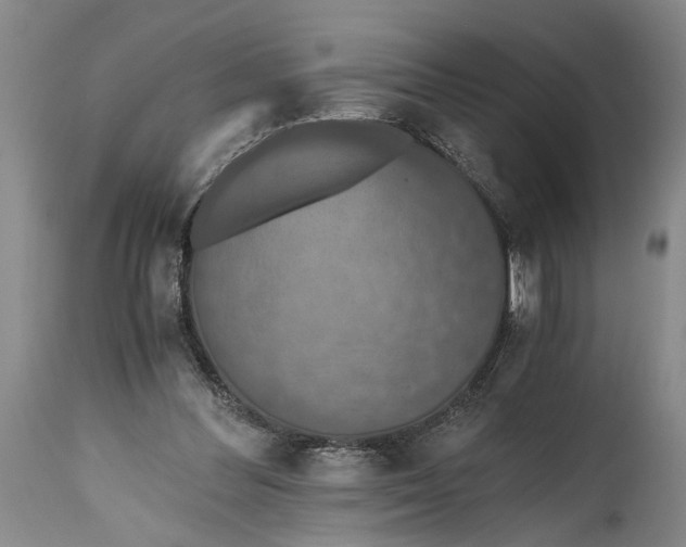 X0000115410300200911171406