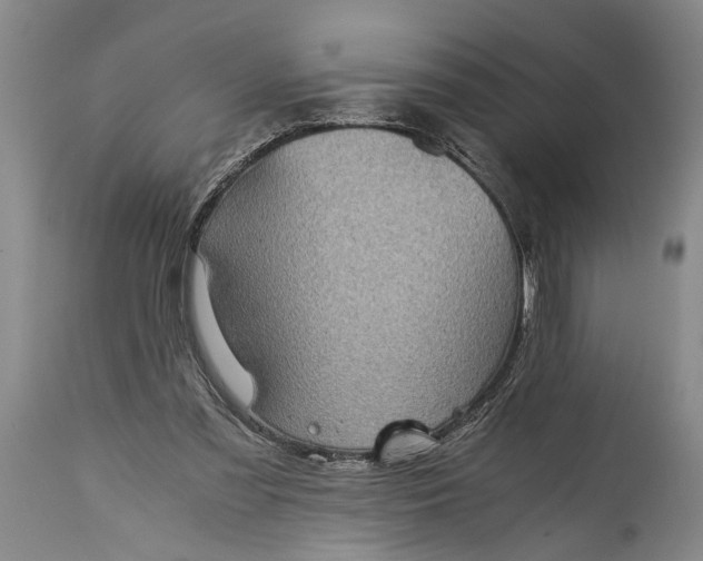 X0000115410301200911171406