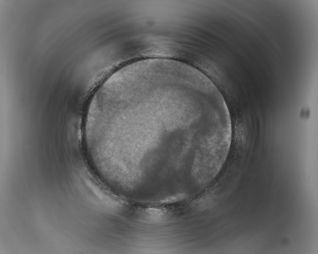 X0000115410302200911171406