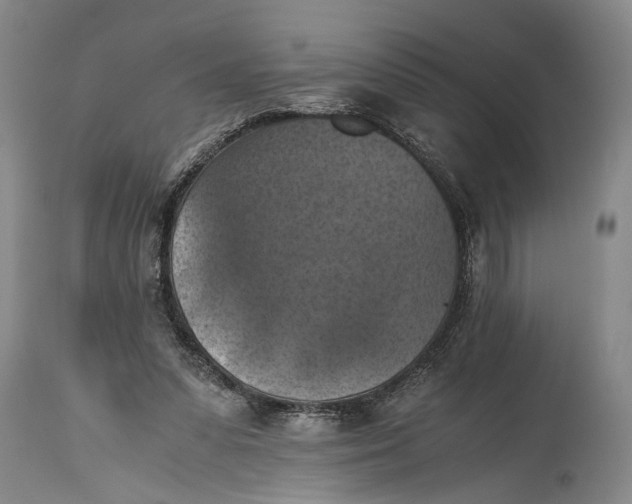 X0000115410303200911171406