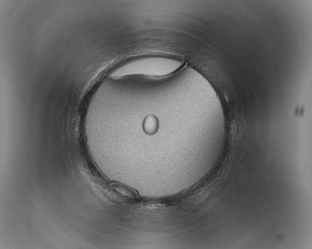 X0000115410304200911171406