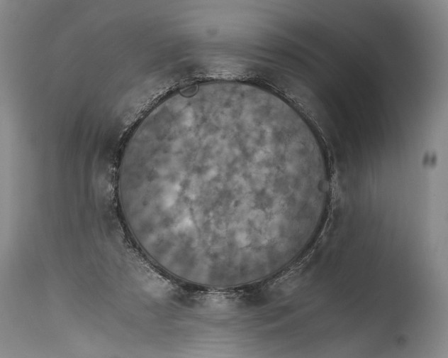 X0000115410305200911171406