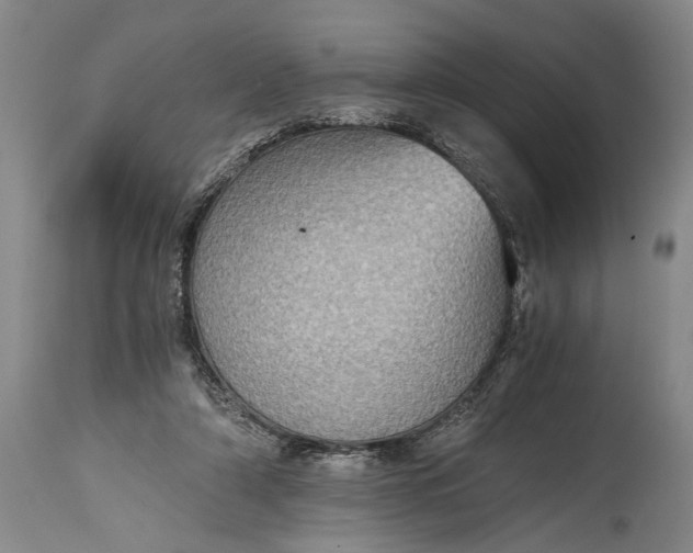 X0000115410306200911171406