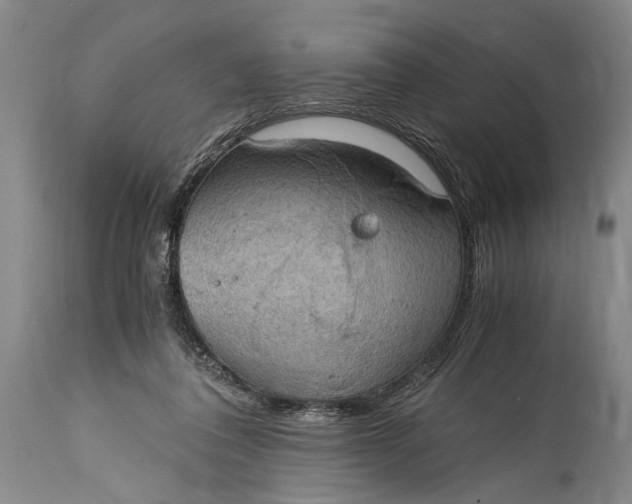 X0000115410308200911171406