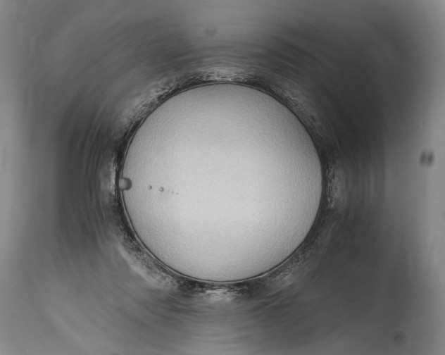 X0000115410310200911171406