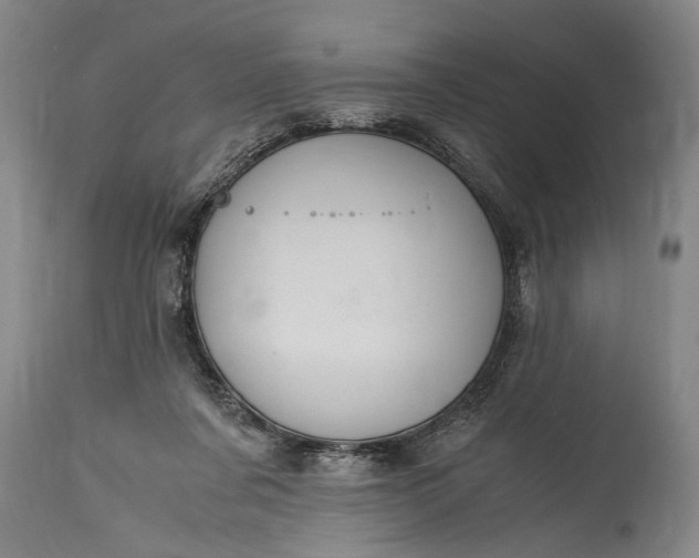 X0000115410311200911171406