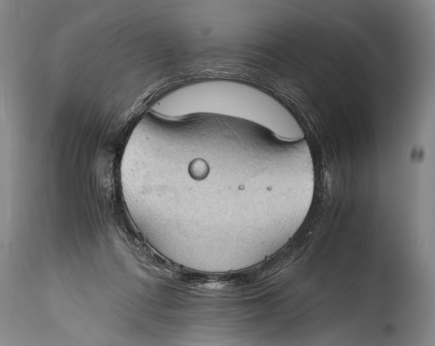 X0000115410312200911171406