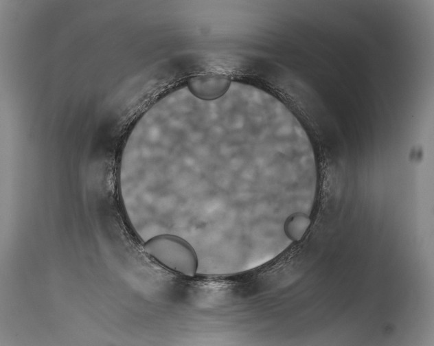 X0000115410313200911171406