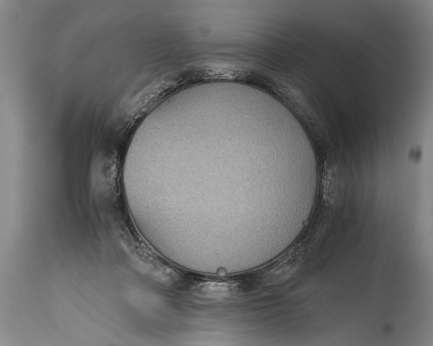 X0000115410314200911171406