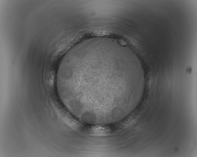 X0000115410315200911171406