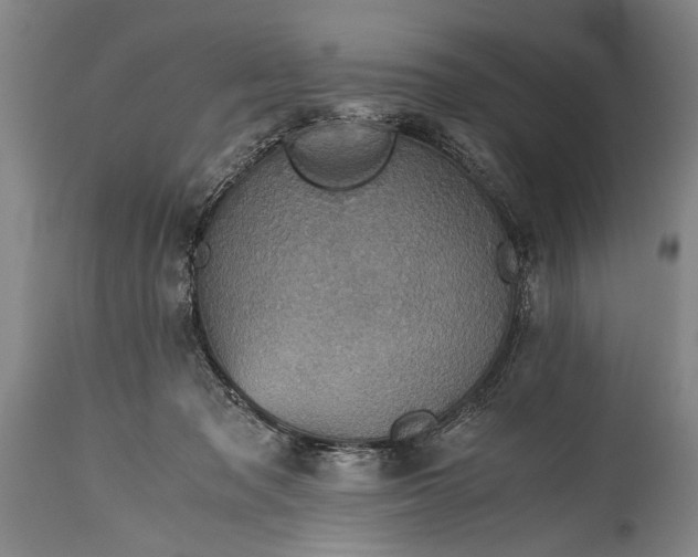 X0000115410317200911171406