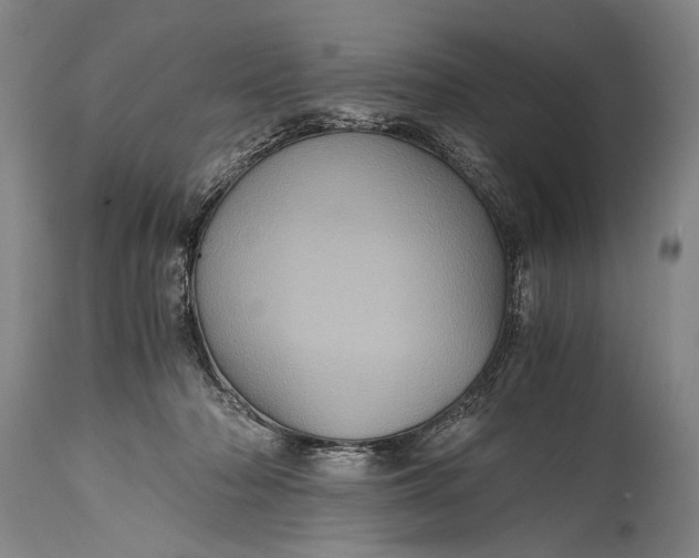 X0000115410318200911171406