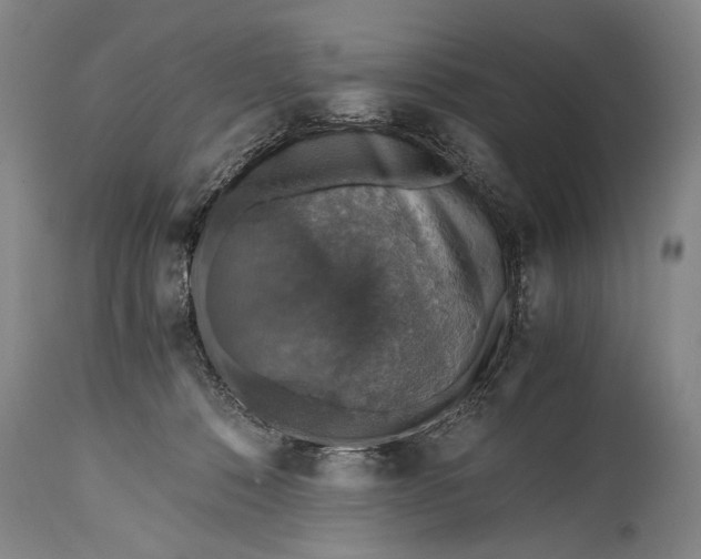 X0000115410320200911171406