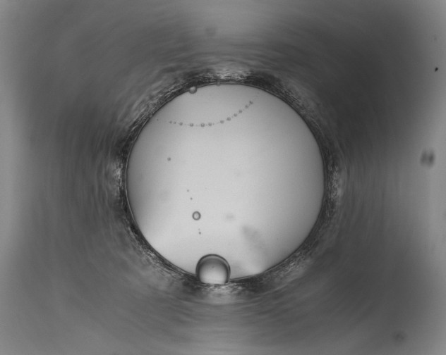 X0000115410321200911171406