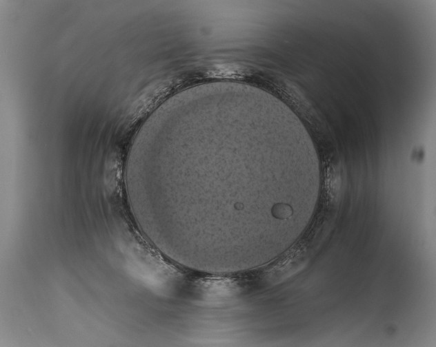 X0000115410322200911171406