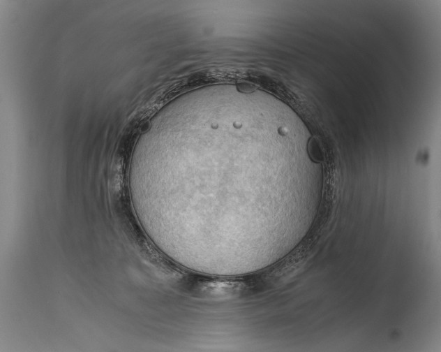 X0000115410323200911171406