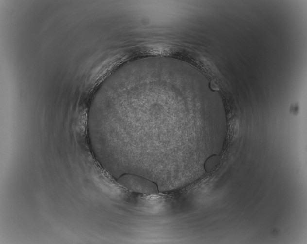 X0000115410325200911171406