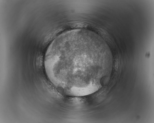 X0000115410326200911171406