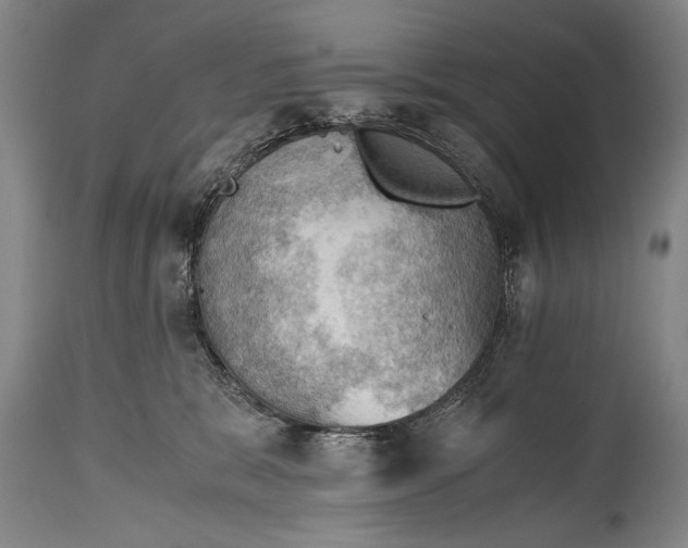 X0000115410327200911171405