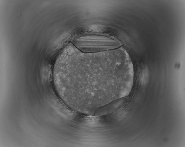 X0000115410328200911171405