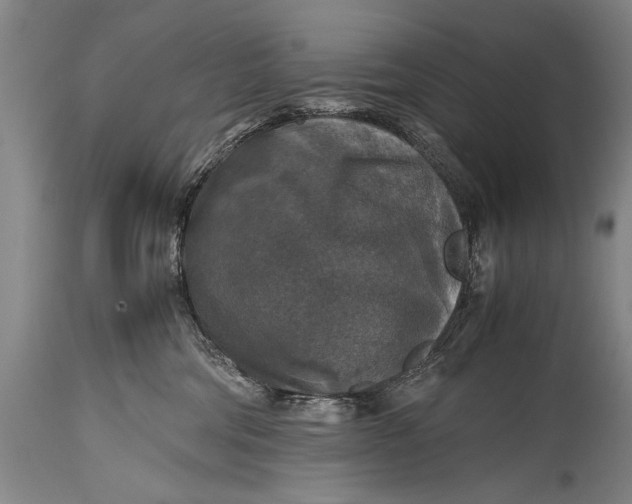 X0000115410330200911171405