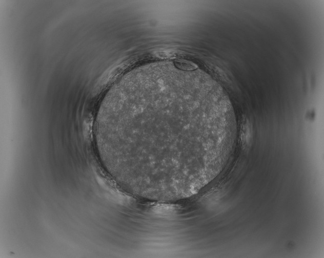 X0000115410332200911171405