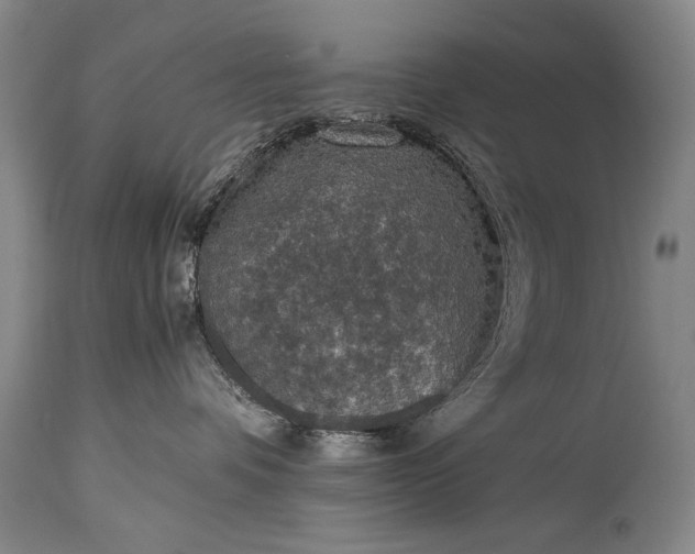 X0000115410336200911171405