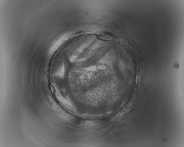 X0000115410341200911171405