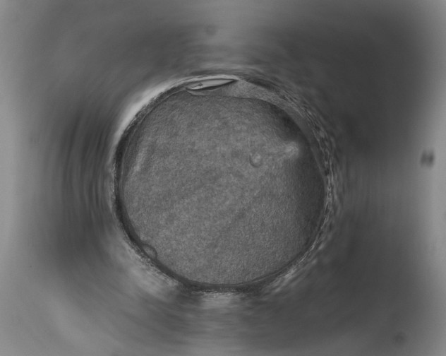 X0000115410342200911171405