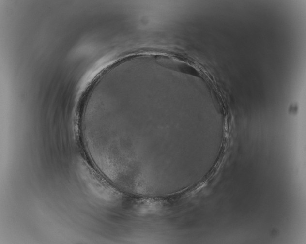 X0000115410343200911171405
