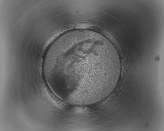 X0000115410346200911171405
